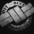 Pánská mikina Pitbull West Coast Steel Logo s kapucí černá 4