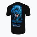 Pánské tričko  Pitbull West Coast In Blue black 5
