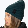 Zimní čepice Pitbull Beanie Velcro Logo green 4