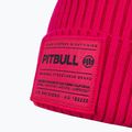 Pánská zimní čepice Pitbull Beanie Dock pink 3