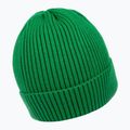 Pánská zimní čepice Pitbull Beanie Dock green 2