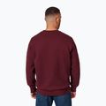 Pánská mikina Pitbull Small Logo Crewneck burgundy 3