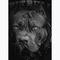 Pánská mikina Pitbull West Coast Crewneck Born In 1989 black 5