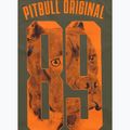 Pánské tričko Pitbull Eighty Nine Dog dark olive 4
