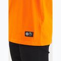 Pánské tričko Pitbull Eighty Nine Dog orange 6