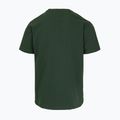 Pánské tričko Pitbull Small Logo green 8