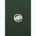 Pánské tričko Pitbull Small Logo green 10
