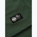 Pánské tričko Pitbull Small Logo green 12