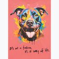 Dámské tričko Pitbull Watercolor coral 9
