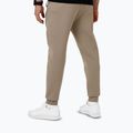 Pánské kalhoty Pitbull Dogwood Track Pants dark sand 2