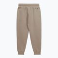 Pánské kalhoty Pitbull Dogwood Track Pants dark sand 2