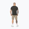 Pánské šortky Pitbull Dogwood Sport dark sand 3