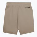 Pánské šortky Pitbull Dogwood Sport dark sand 2