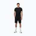 Pánské šortky Pitbull Dogwood Sport black 2