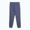 Pánské tepláky Pitbull Sampson Track Pants navy jeans 2