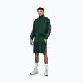 Pánská mikina  Pitbull Track Jacket Powers bottle green 2