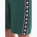Pánské šortky Pitbull Track Shorts Powers bottle green 3