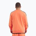 Pánská mikina  Pitbull Tape Nugget Crewneck Sweatshirt bright salmon 3