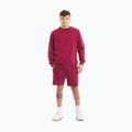 Pánská mikina  Pitbull Tape Nugget Crewneck Sweatshirt burgundy 2