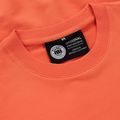 Pánská mikina  Pitbull Dog Sd Crewneck Sweatshirt bright salmon 3