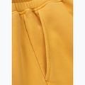 Pánské tepláky Pitbull Lancaster 2 washed yellow 10