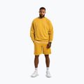 Pánské šortky Pitbull Lancaster 2 washed yellow 2