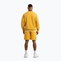 Pánské šortky Pitbull Lancaster 2 washed yellow 4