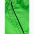 Pánské plavecké šortky Pitbull Crownhill fluo green 6