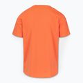 Pánské tričko Pitbull San Diego Ins. fluo orange 5