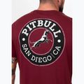 Pánské tričko Pitbull San Diego CA black burgundy 3