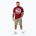 Pánské tričko Pitbull Logo Palms burgundy 2