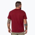 Pánské tričko Pitbull Logo Palms burgundy 3