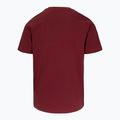 Pánské tričko Pitbull Logo Palms burgundy 5
