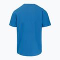 Pánské tričko Pitbull Logo Palms shade blue 5