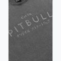 Pánské tričko Pitbull Mt. Fuji washed grey 4