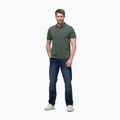 Pánské polotričko Pitbull Washed Polo Shirt sage green 2