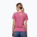 Pánské tričko Pitbull Doubletrouble washed pink 3
