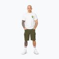 Pánské tričko Pitbull BJJ FIGHT DVSN white 2