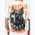 Pánské tričko Pitbull Blacky white 4