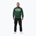 Pánská mikina Pitbull Norton Crewneck green 2