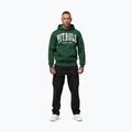 Pánská mikina Pitbull Norton Hooded hunter green 2