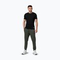 Pánské tepláky Pitbull Sampson Track Pants old green 2
