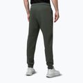 Pánské tepláky Pitbull Sampson Track Pants old green 3