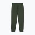 Pánské tepláky Pitbull Sampson Track Pants old green 5