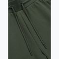 Pánské tepláky Pitbull Sampson Track Pants old green 6
