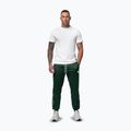 Pánské tepláky Pitbull Trackpants Tape Logo Terry Group bottle green 2