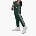 Pánské tepláky Pitbull Trackpants Tape Logo Terry Group bottle green 5