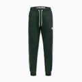 Pánské tepláky Pitbull Trackpants Tape Logo Terry Group bottle green 6