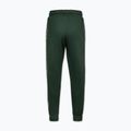 Pánské tepláky Pitbull Trackpants Tape Logo Terry Group bottle green 7