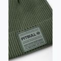 Zimní čepice Pitbull Beanie Dock grassy green 2